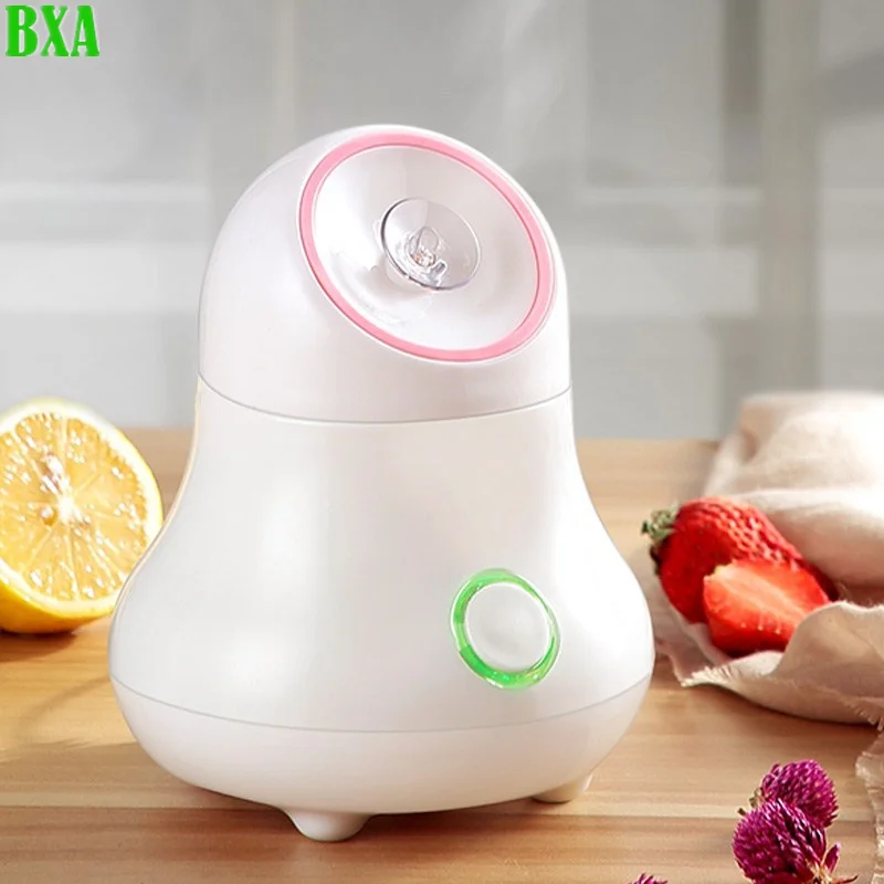 Vapore facciale per frutta e v - Facial Steamer Nano recensione e prezzo